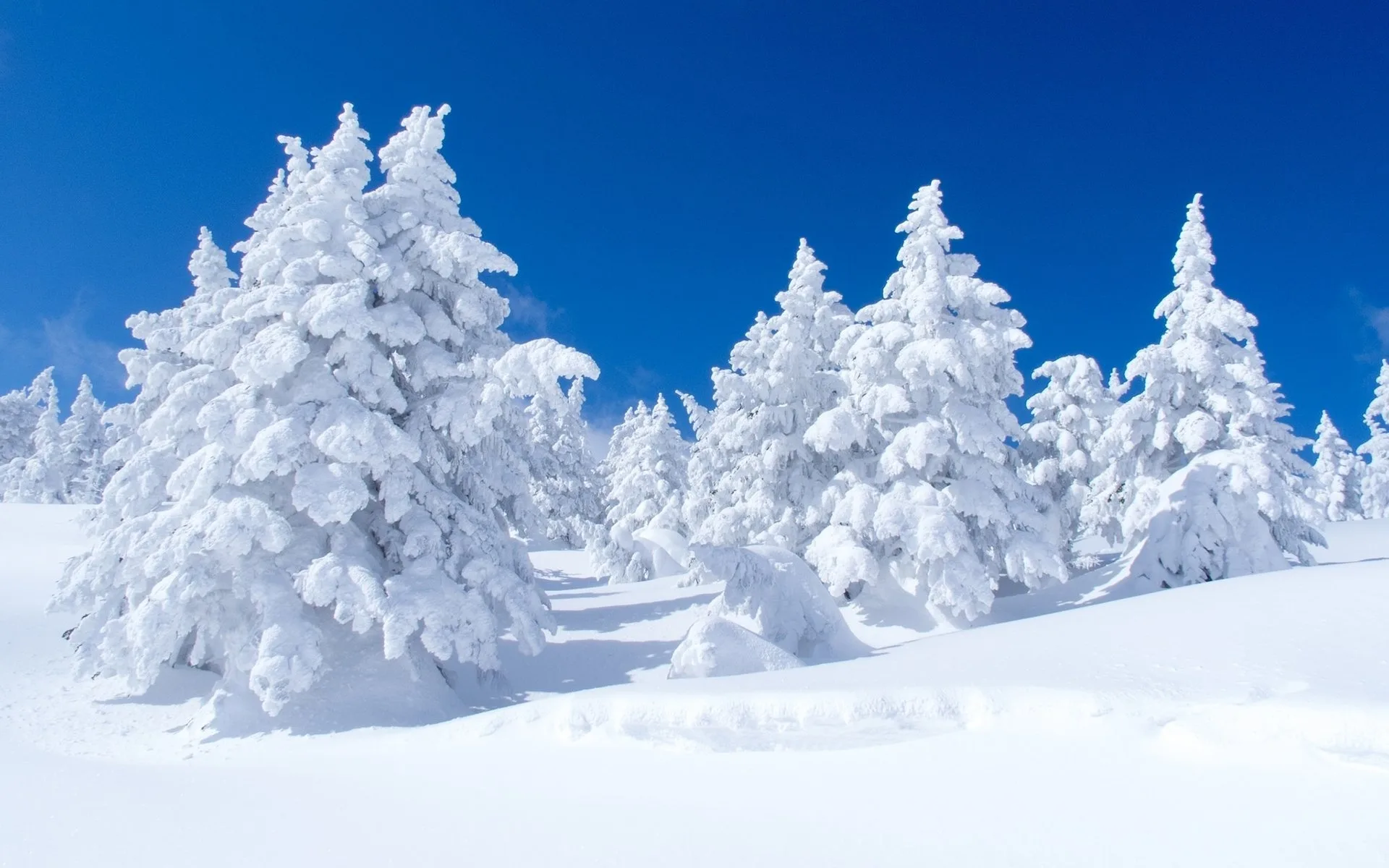 Winter Snow Nature Landscape Wallpapers Hd Desktop And Mobile Backgrounds