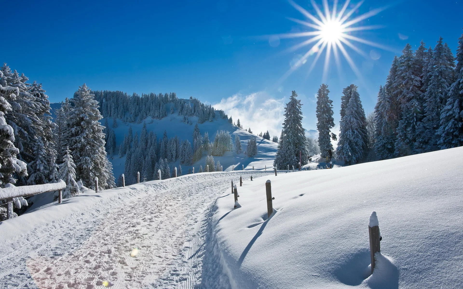 Winter Snow Road Hd Wallpaper Download Wallpapers Page