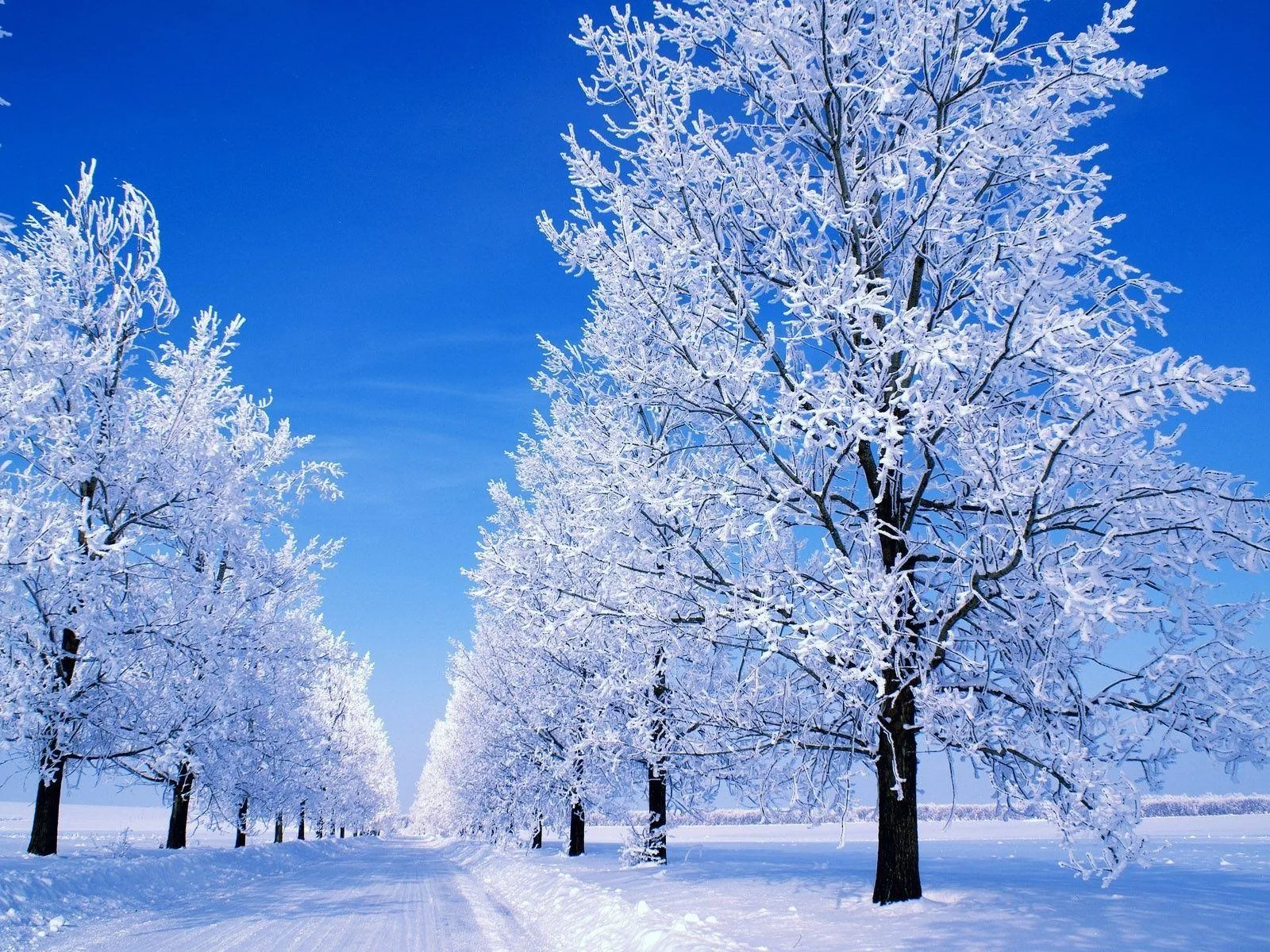 Winter Weather Wallpapers Top Free Winter Weather Backgrounds Wallpaperaccess