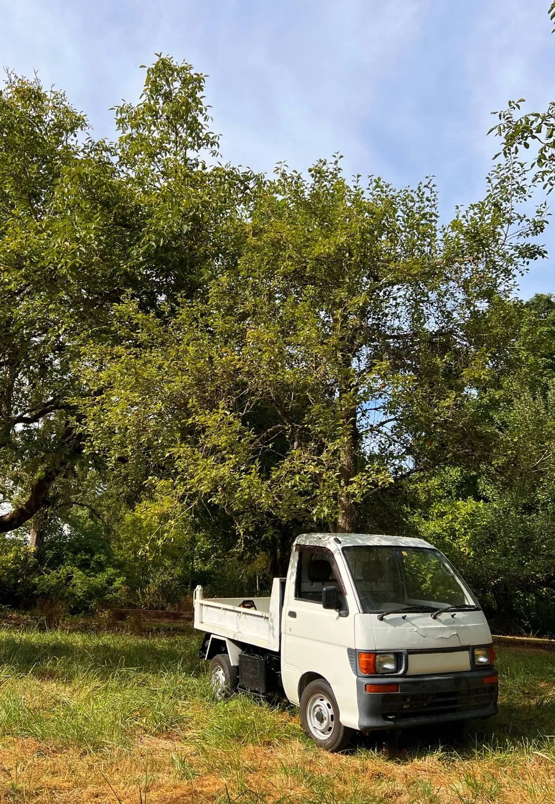 Wiring Electrical Diagrams 1996 Daihatsu Hijet S110P R Keitruck