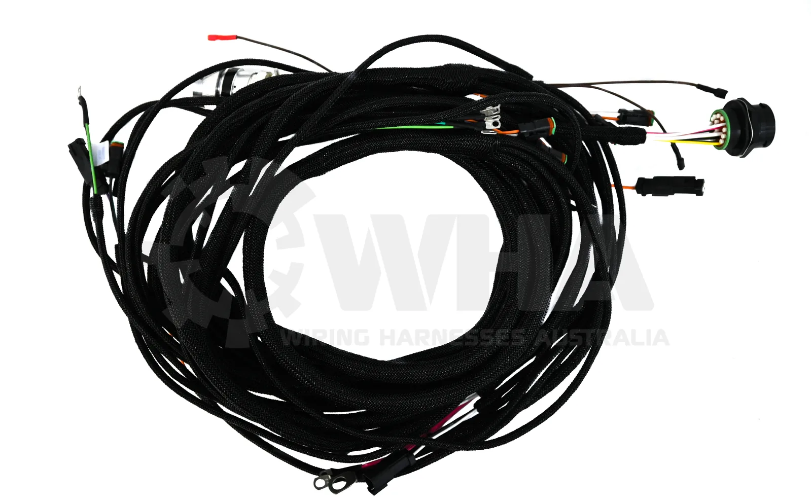 Wiring Harness For Starter At Phillip Pusey Blog