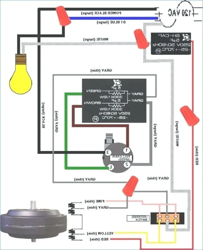 Wiring Of Fan