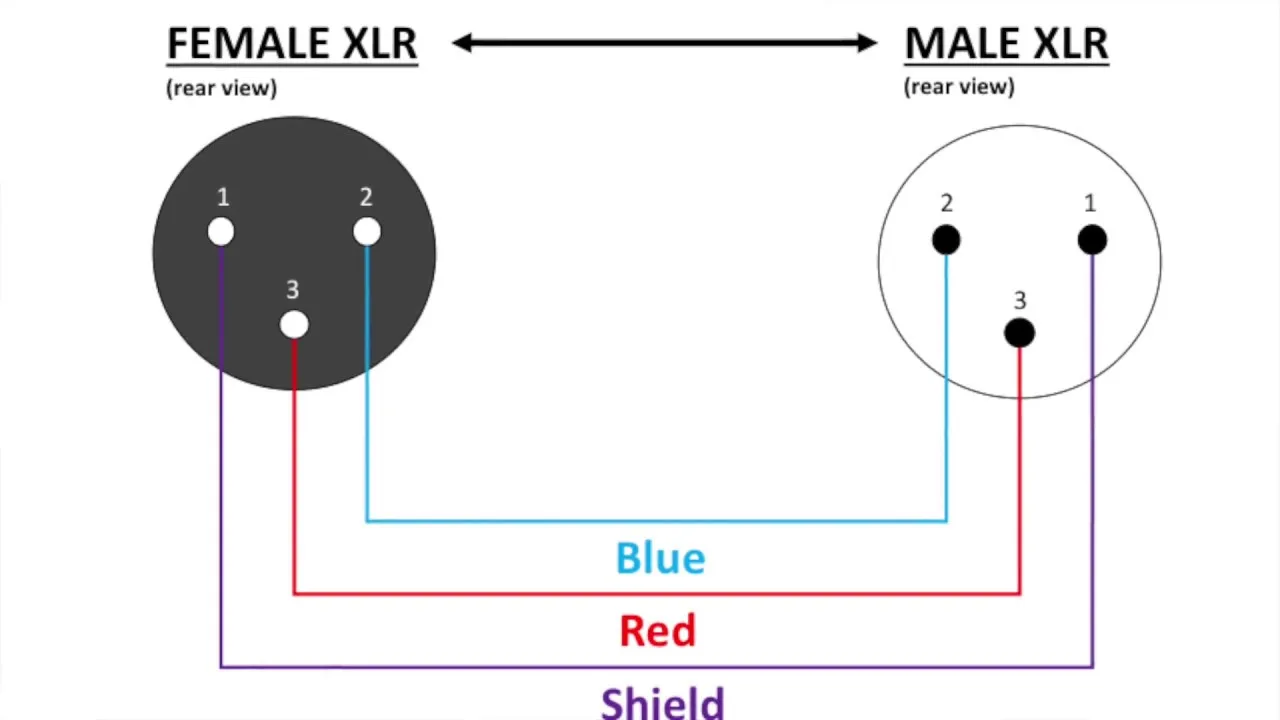 Xlr Cable Connector Wiring At Milla Slessor Blog