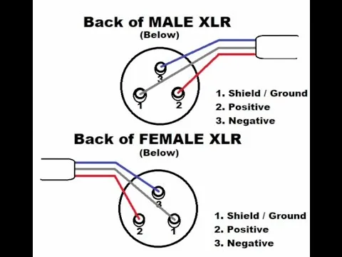 Xlr Termination Diagram Wiring Xlr Cables Schematic Diagrams