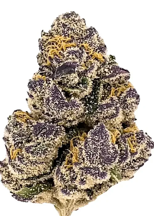 Ya Hemi Cannabis Strain Information Growdiaries