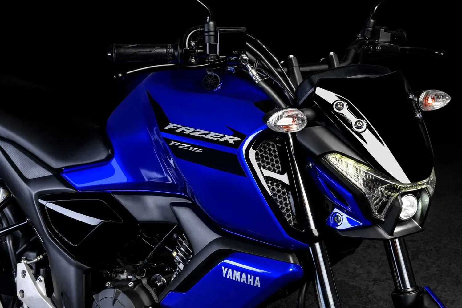 Yamaha Fazer Bike 2014