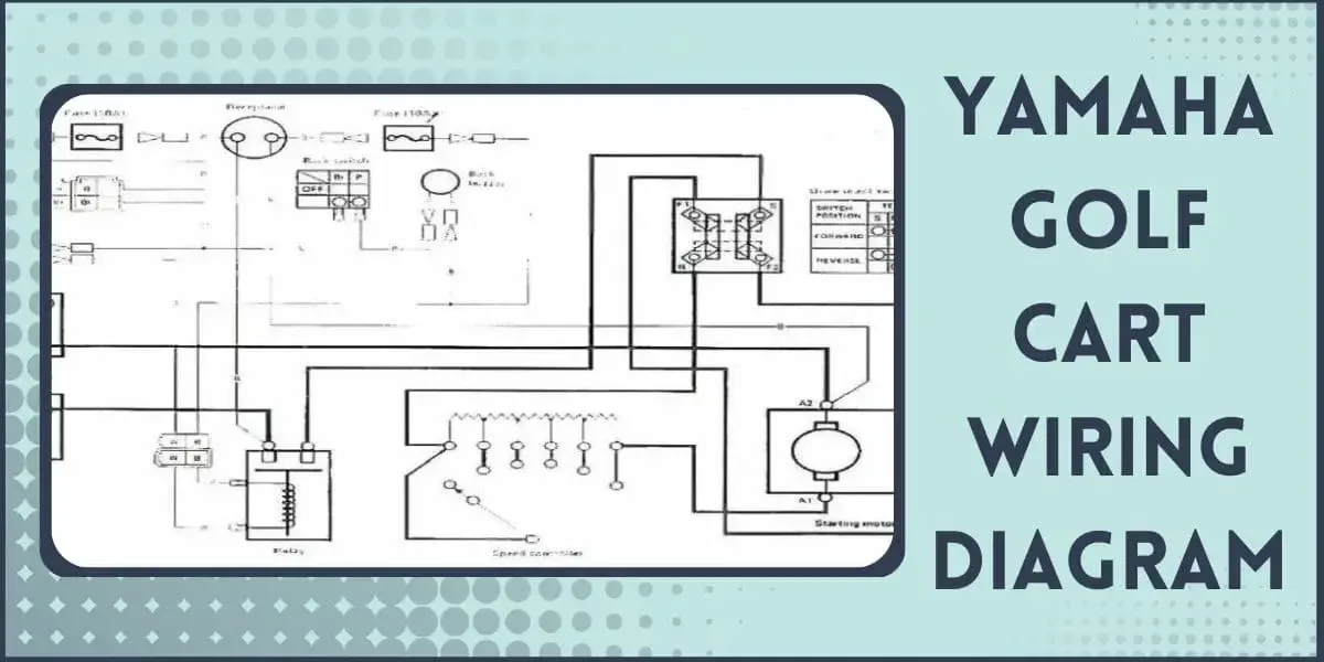 Yamaha Golf Cart Wiring Diagram 48V 36V Gas Electric