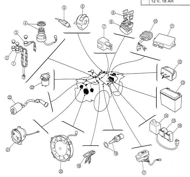 Yamaha Warrior Cdi Wiring Diagram Wiring Diagram