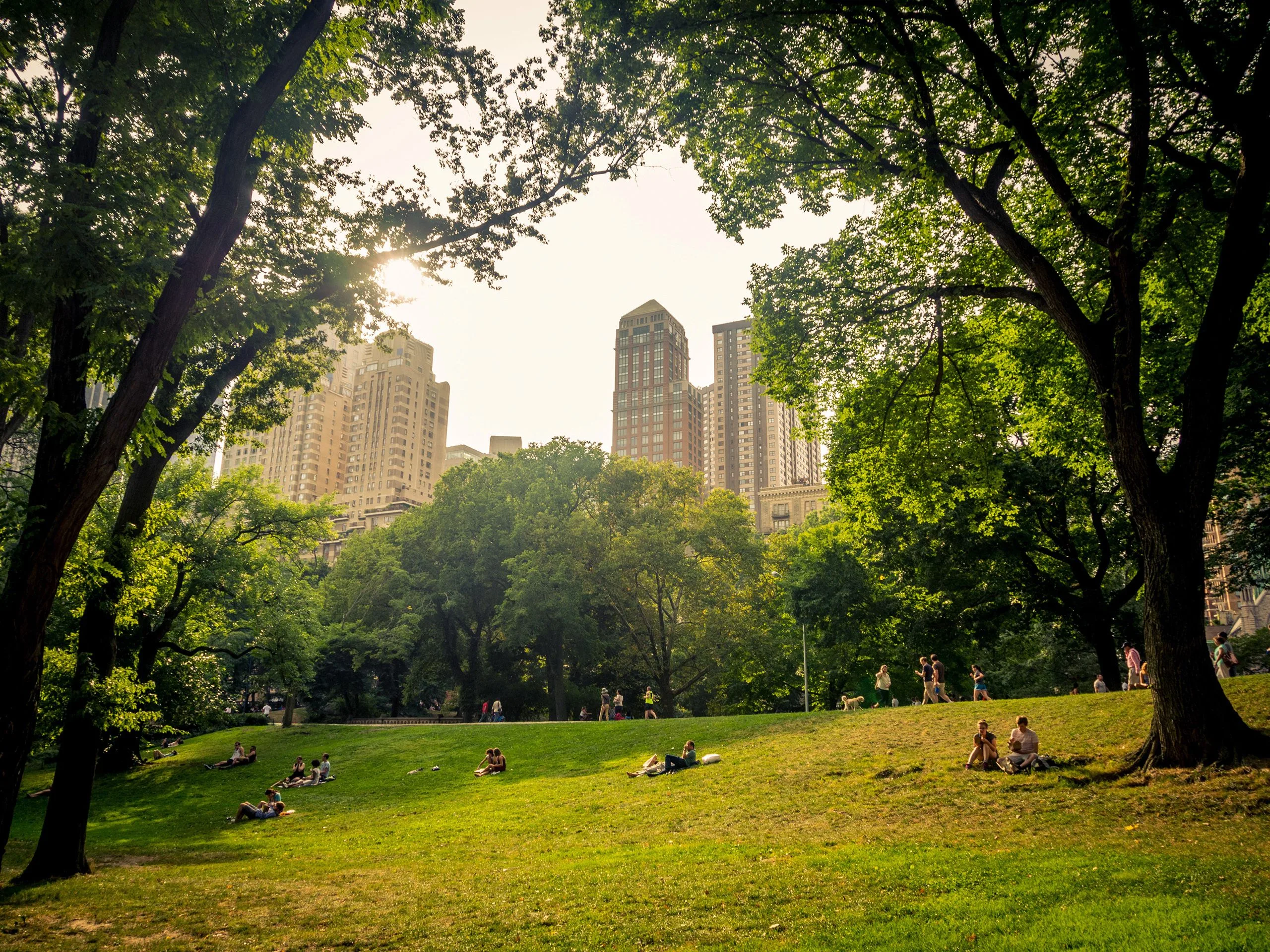 You Ll Feel Better If You Go Outside The New Yorker