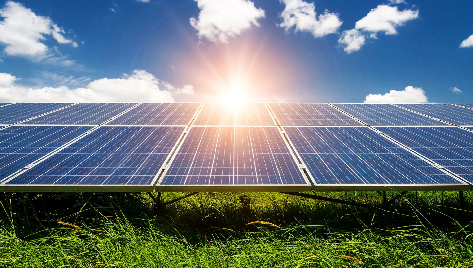 Your Local Solar Experts In Dunedin Aotea Electric Southern