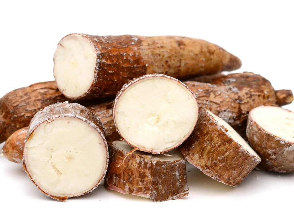Yucca Facts And Health Benefits