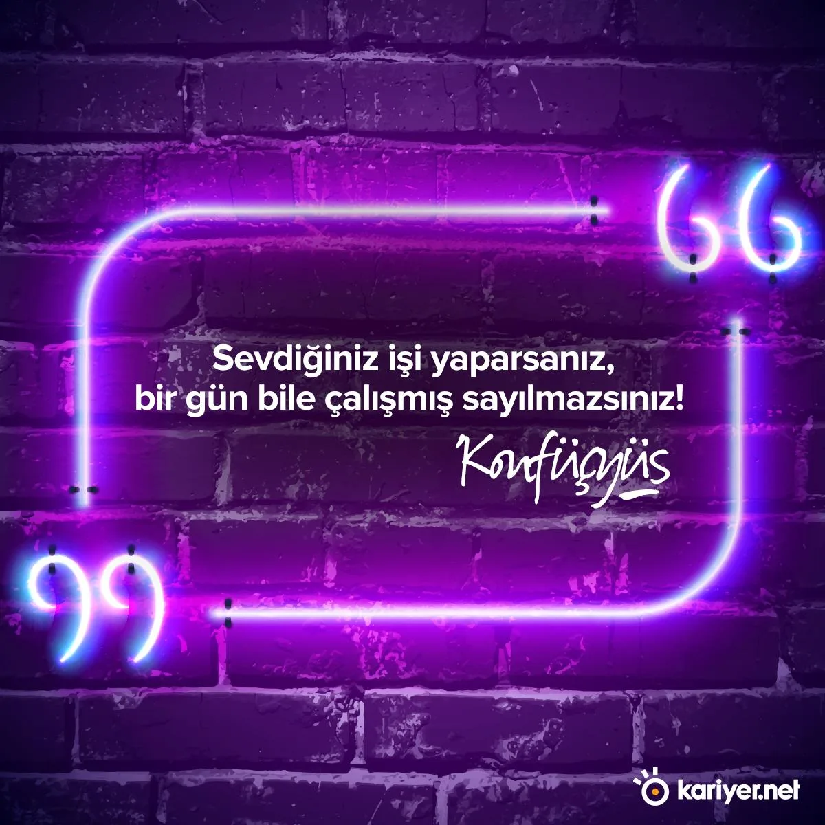 Zeynep Onan Posted On Linkedin